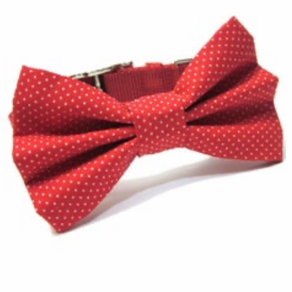 NWOT | Custom Bow Tie Dog Collar + Matching Leash | Red